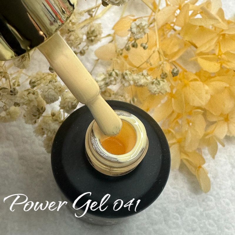 Power Gel 041